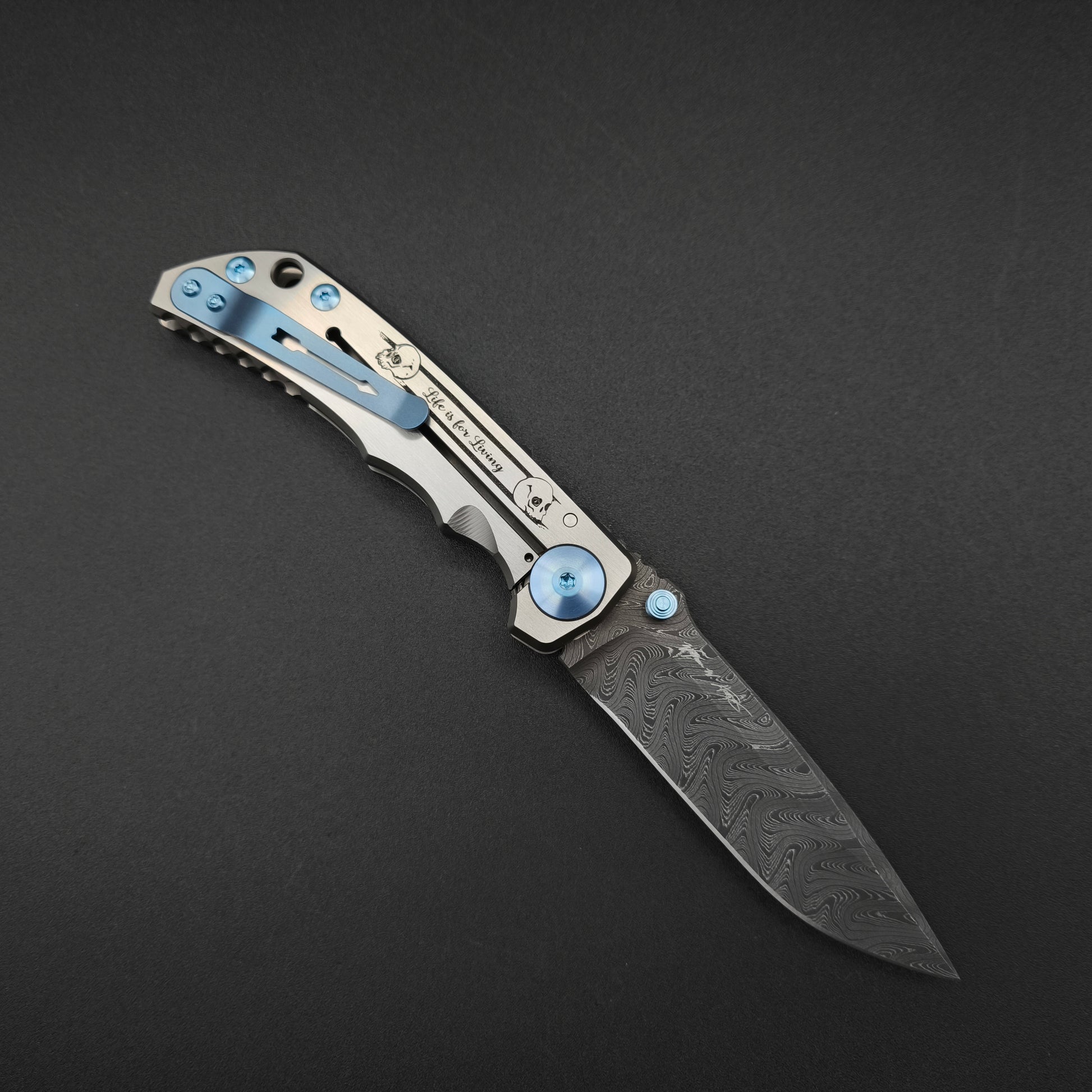 Spartan Blades Harsey Folder SF5 Custom Chad Nichols Damascus Memento Mori 2