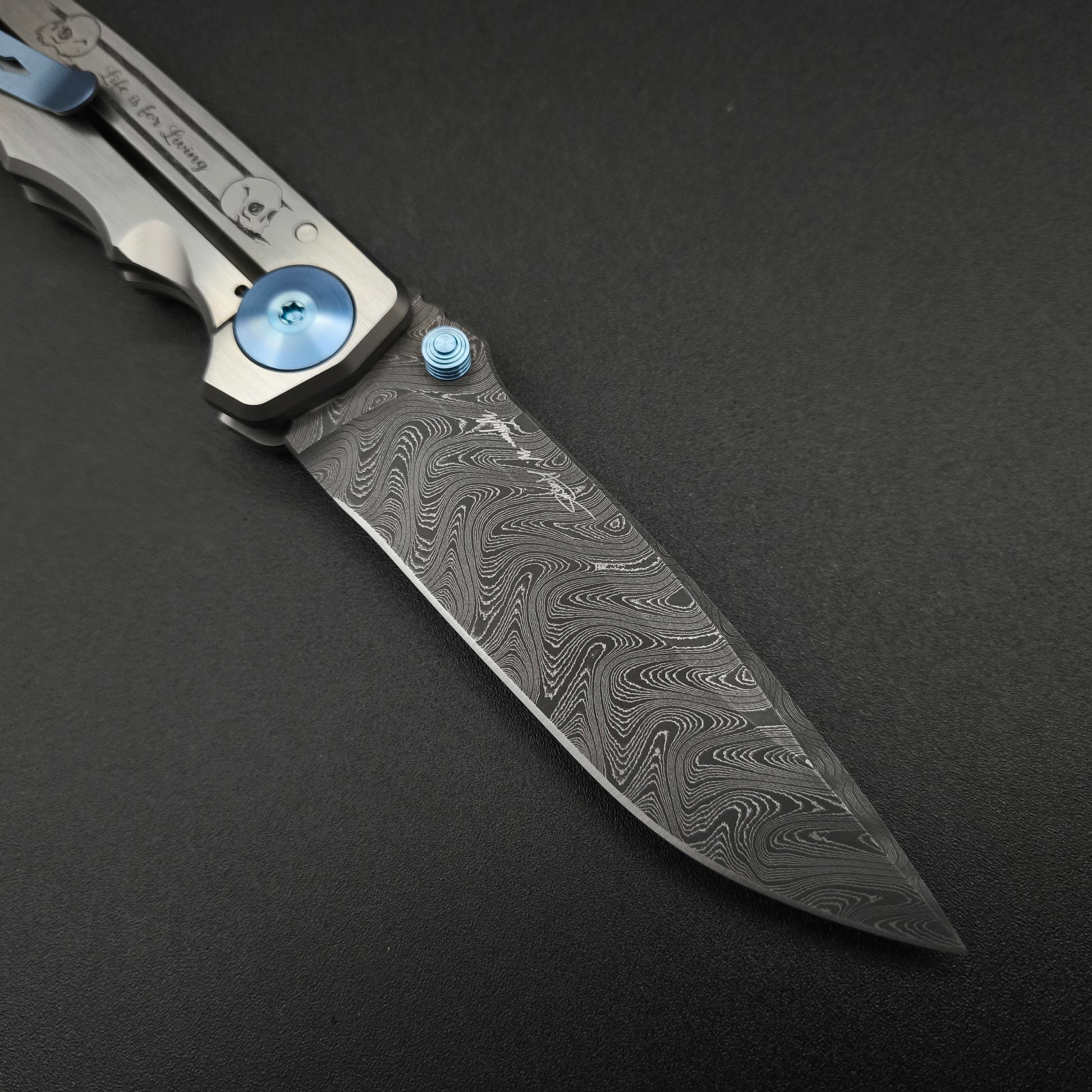 Spartan Blades Harsey Folder SF5 Custom Chad Nichols Damascus Memento Mori 3