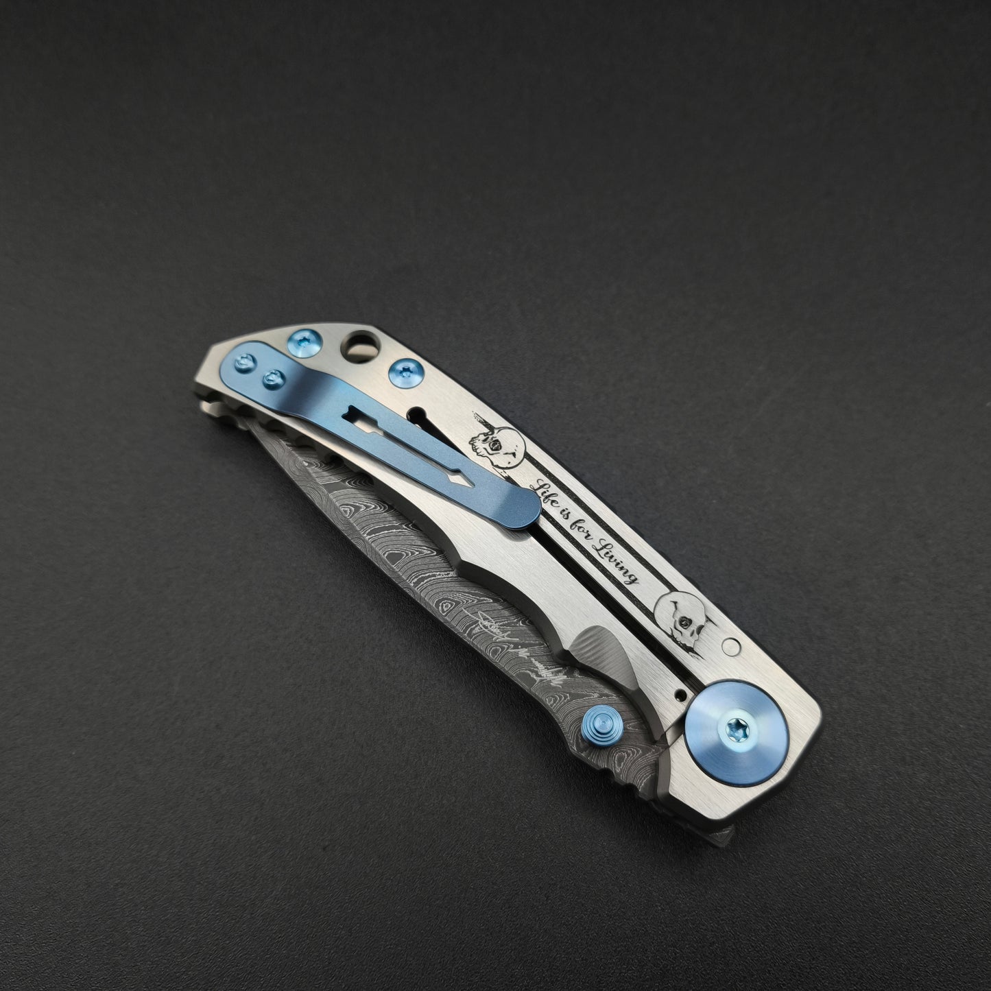 Spartan Blades Harsey Folder SF5 Custom Chad Nichols Damascus Memento Mori 5