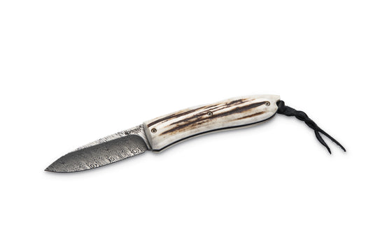 LionSteel 8800D CE Opera Damascus 1