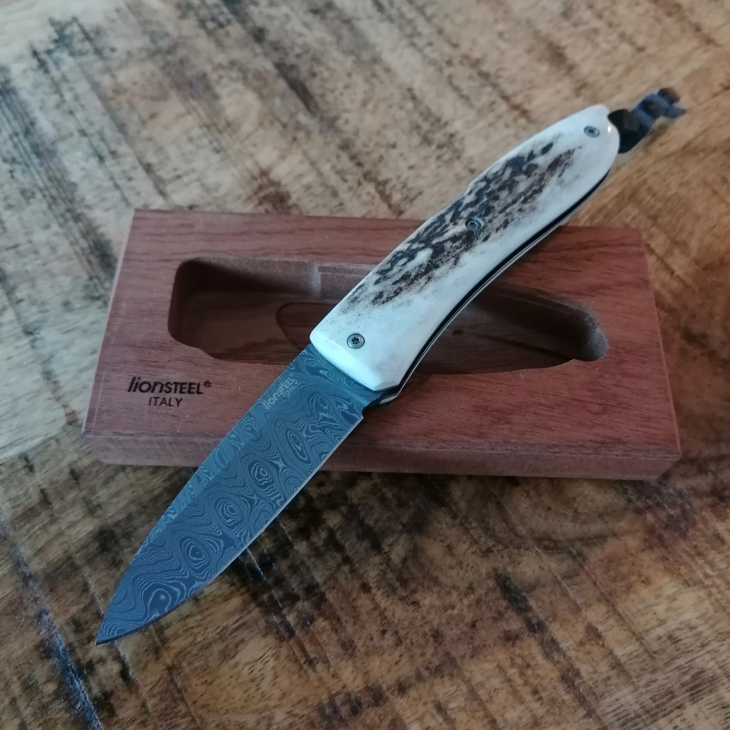 LionSteel 8800D CE Opera Damascus 2