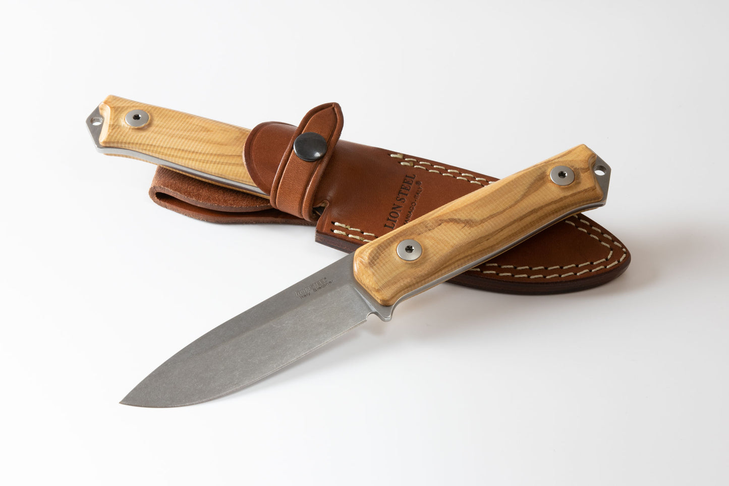 LionSteel B41 1