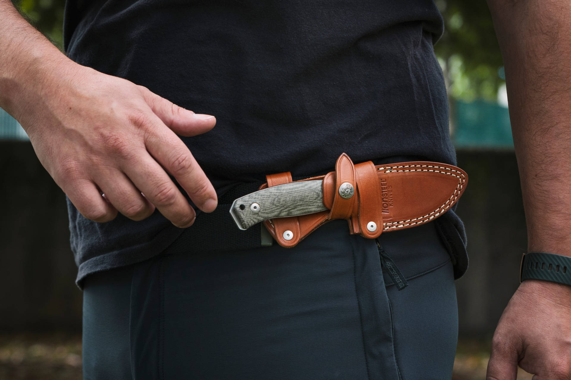 LionSteel  M2M Santos Wood 6