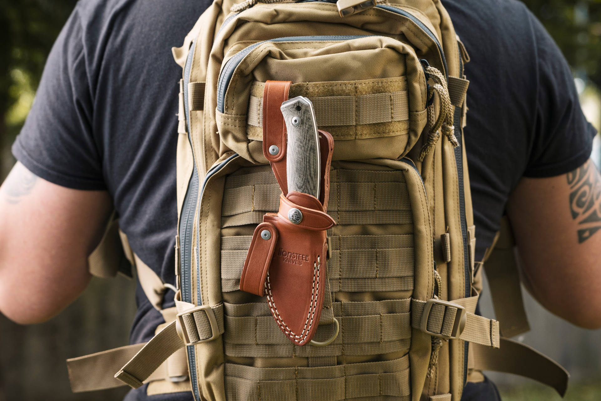 LionSteel  M2M Santos Wood 8