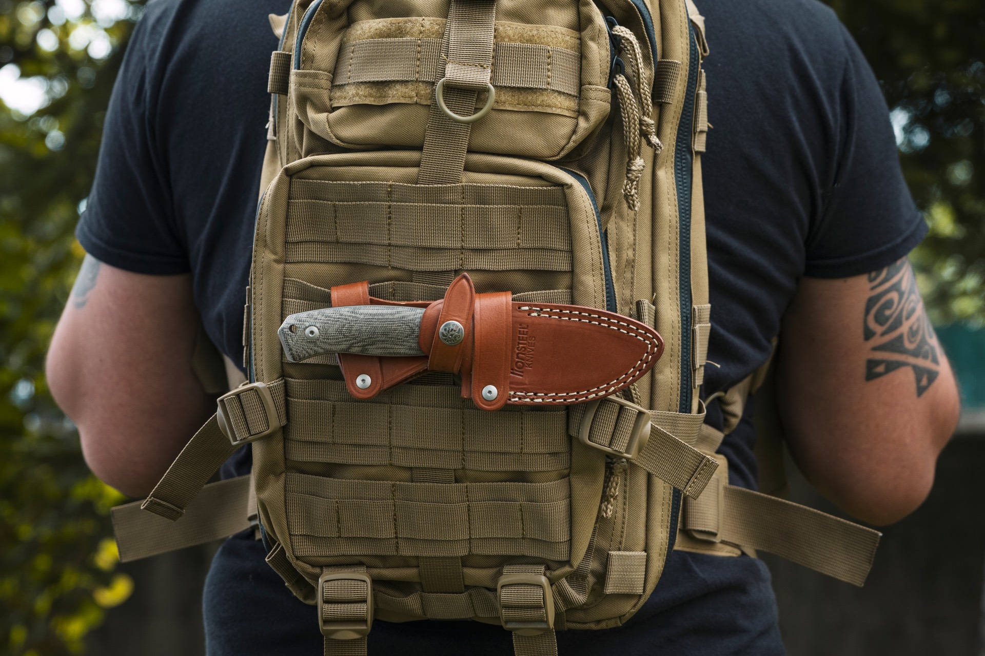 LionSteel  M2M Santos Wood 9