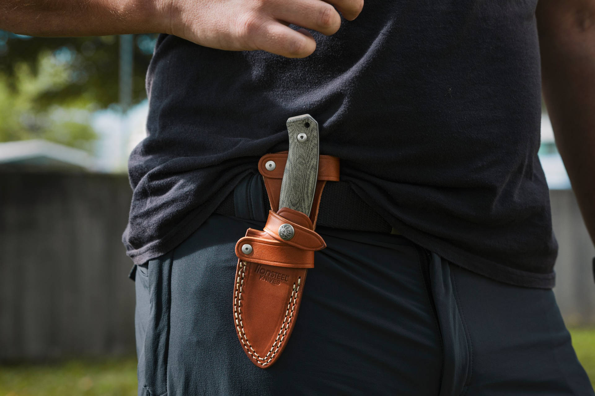 LionSteel  M2M Santos Wood 5