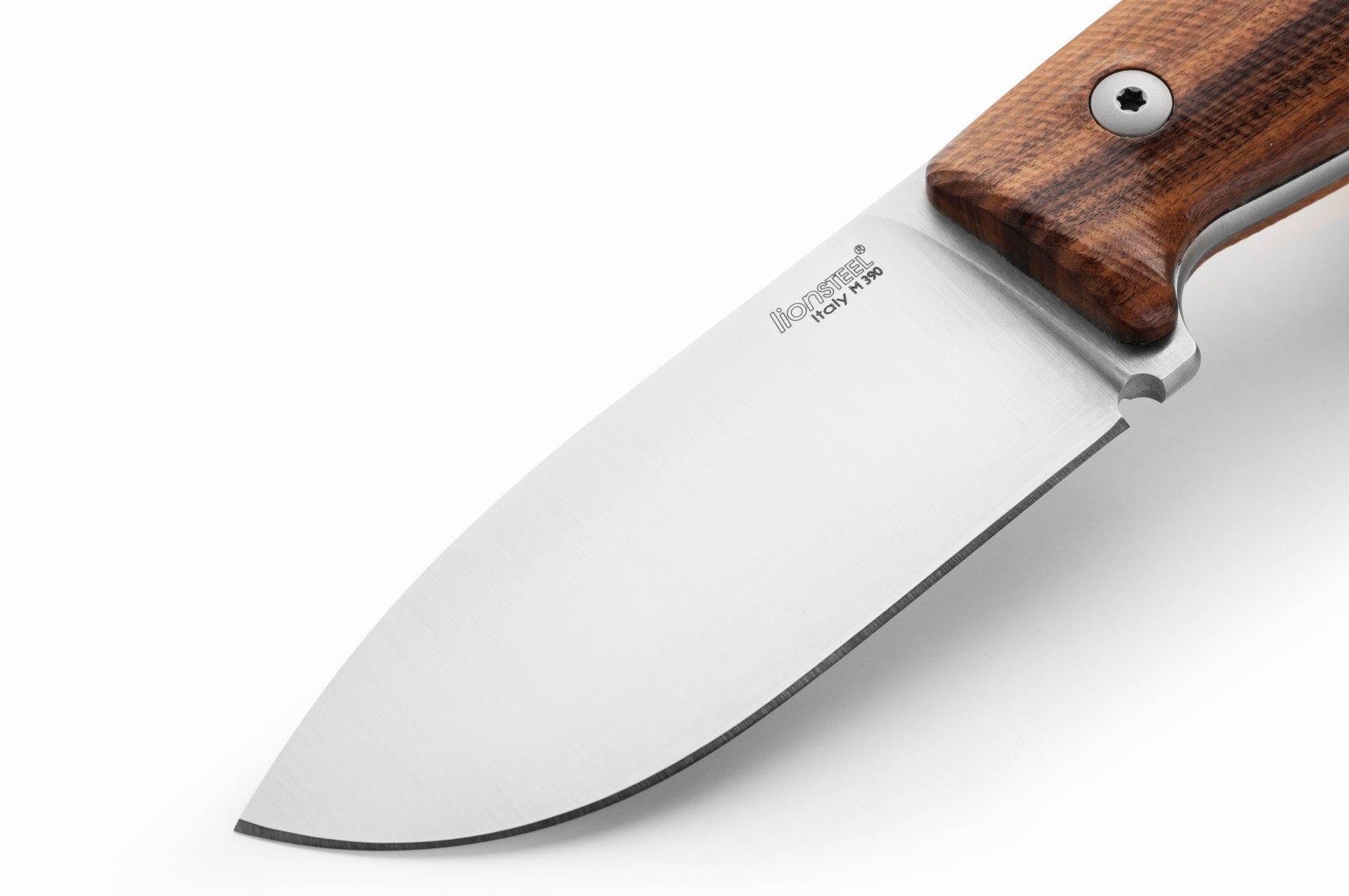 LionSteel  M2M Santos Wood 2