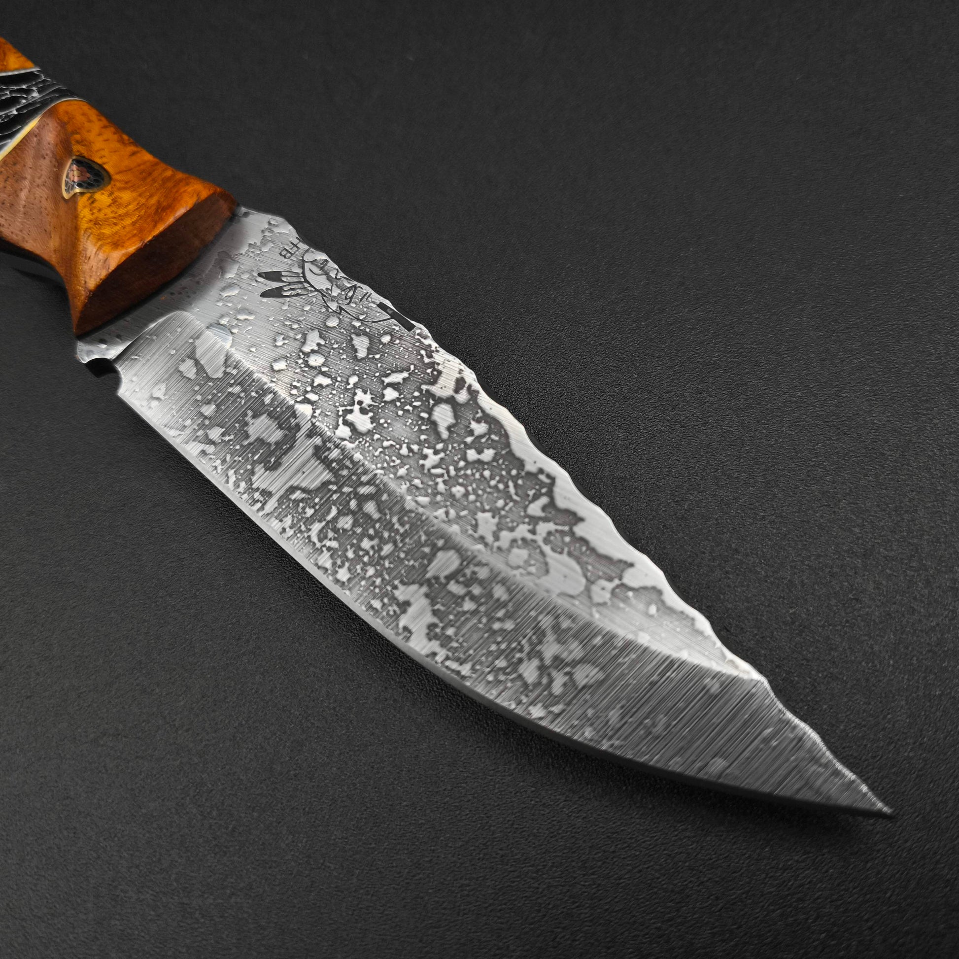 Half Face Blades Disaster Crow Jr Afzelia and Lion's Blood Amboyna 3