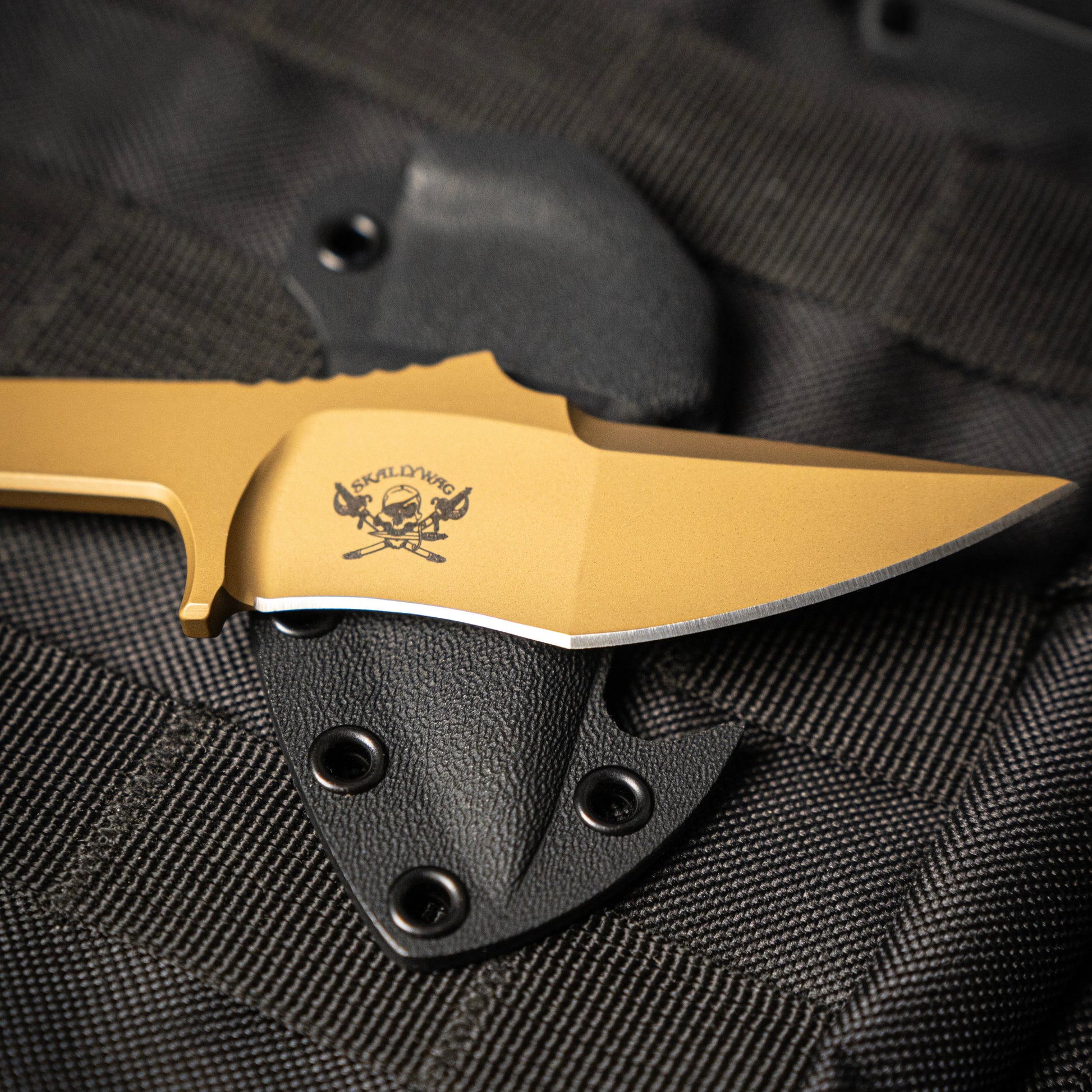 Skallywag Tactical MDV PLUS ONE Bounty Gold 4