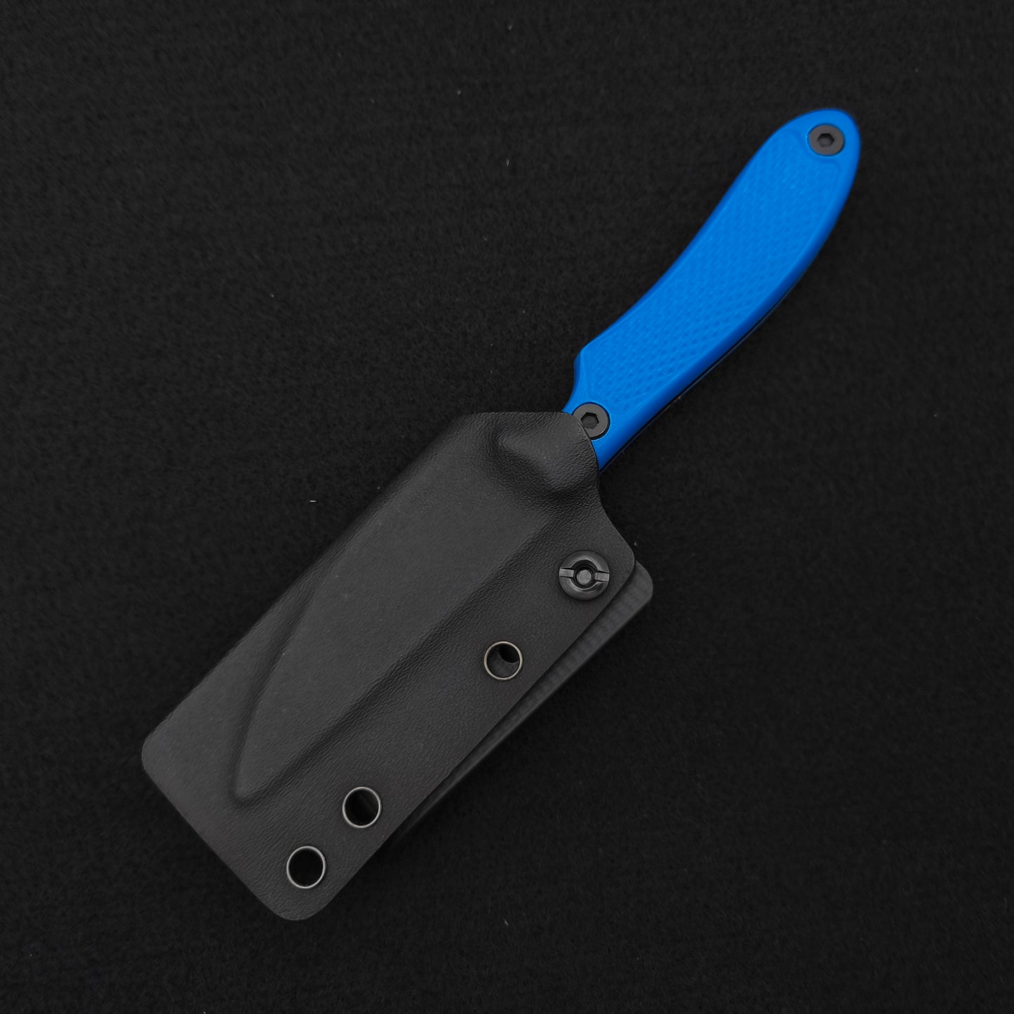 Shivworks DISCIPLE ® BLACK & BLUE Trainer 3