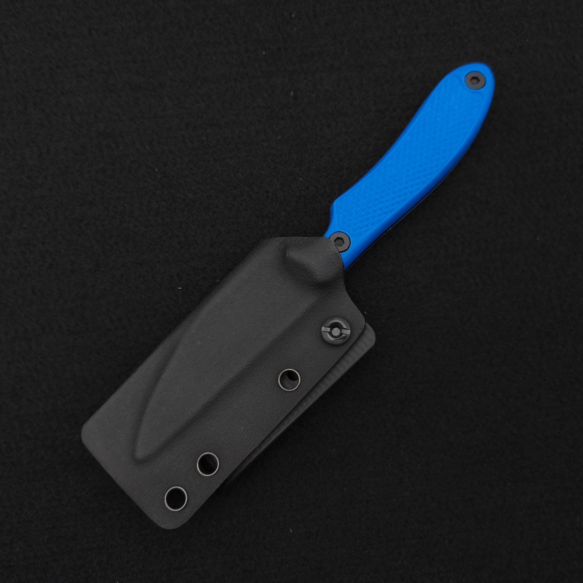 Shivworks DISCIPLE ® BLACK & BLUE Trainer 3