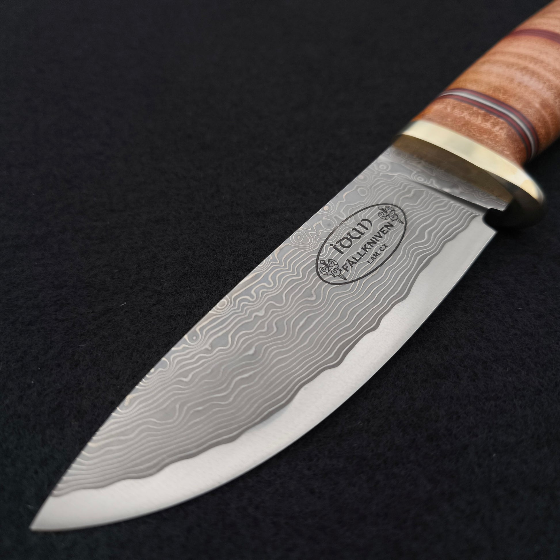 Fällkniven NL5cxL Northern Light Idun, Cowry X Damast 5