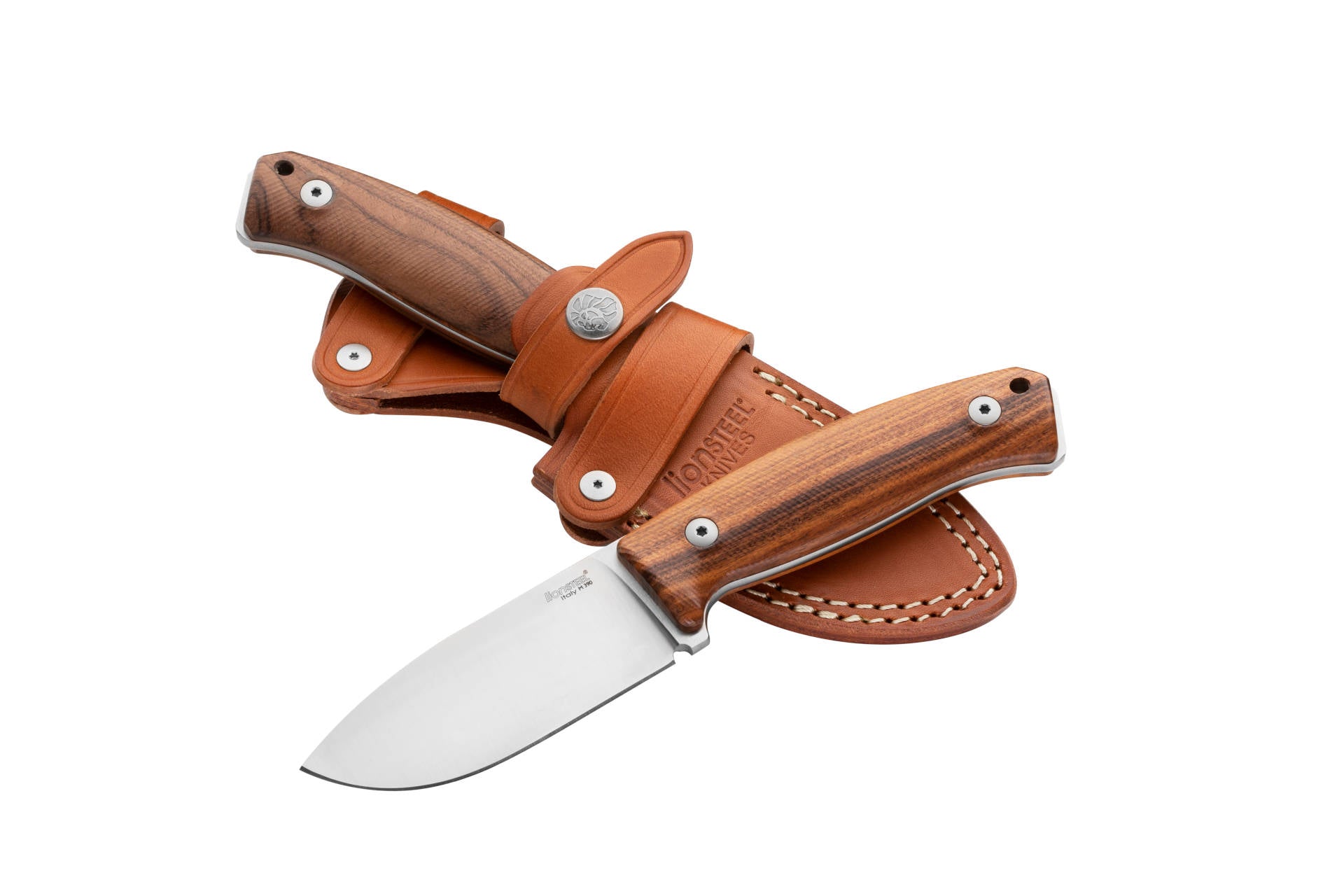 LionSteel  M2M Santos Wood 1